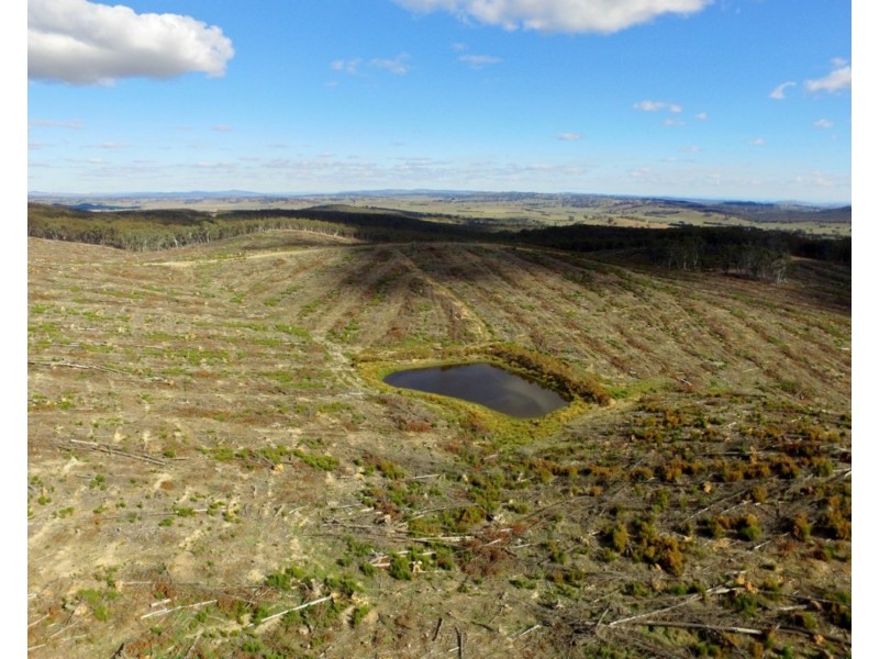 Lot 4 Mullins Creek Road, Gurrundah NSW 2581