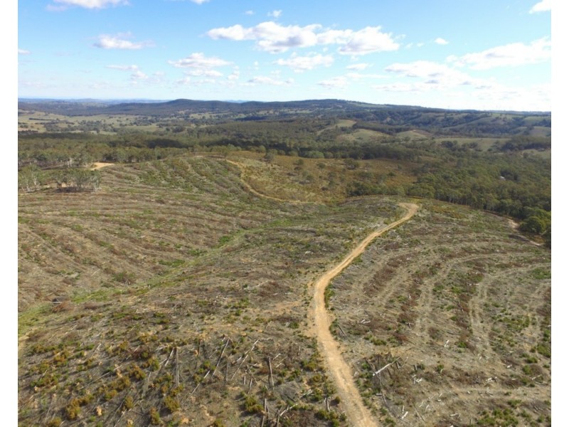 Lot 4 Mullins Creek Road, Gurrundah NSW 2581