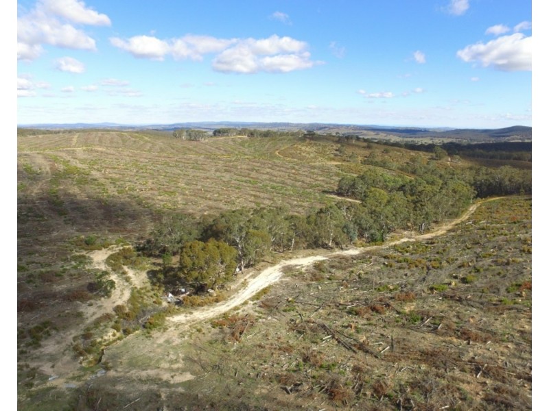 Lot 4 Mullins Creek Road, Gurrundah NSW 2581