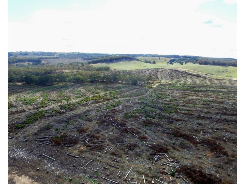 Lot 4 Mullins Creek Road, Gurrundah NSW 2581