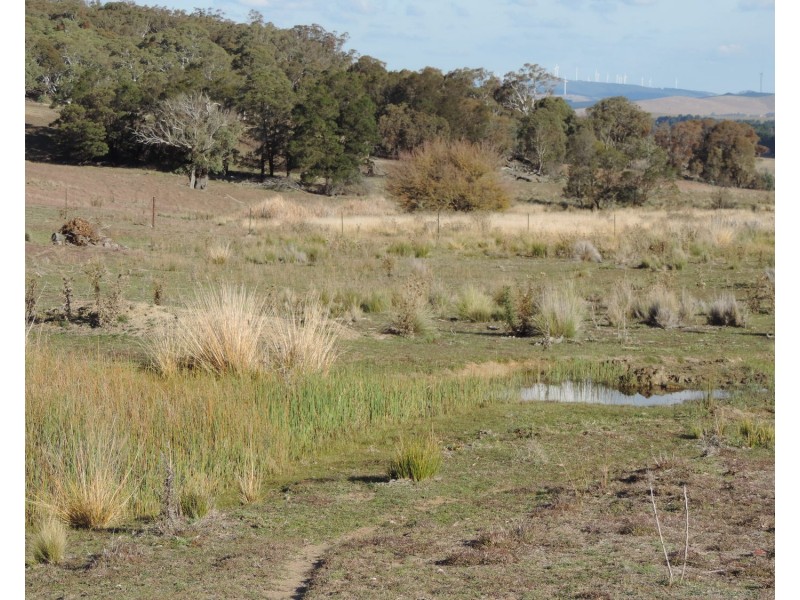 1541 Collector Road, Currawang NSW 2580