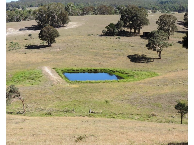 59 Osmonds Road, Middle Arm NSW 2580