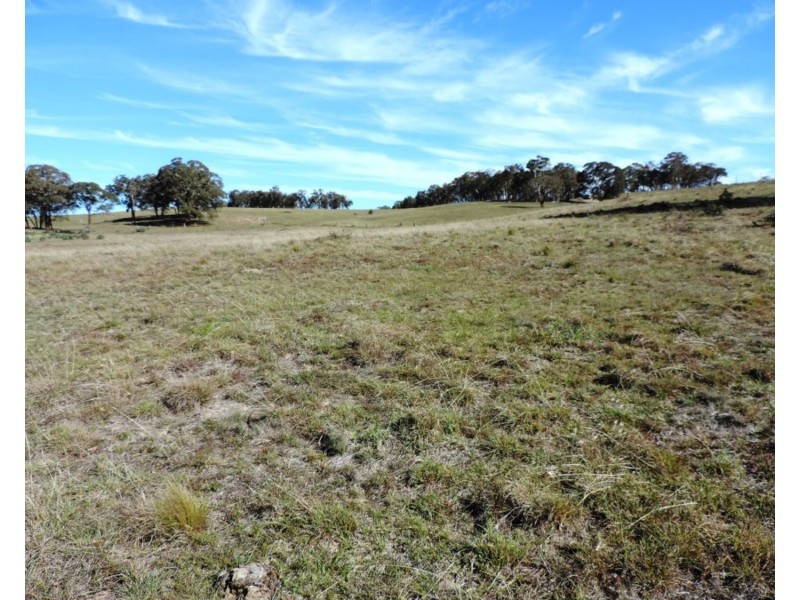 59 Osmonds Road, Middle Arm NSW 2580