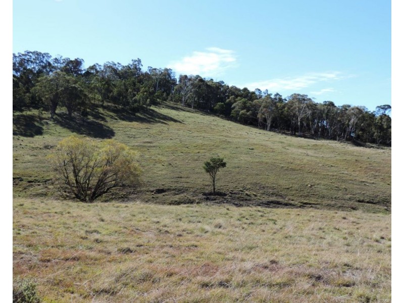 59 Osmonds Road, Middle Arm NSW 2580