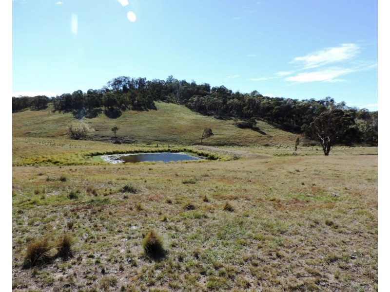 59 Osmonds Road, Middle Arm NSW 2580