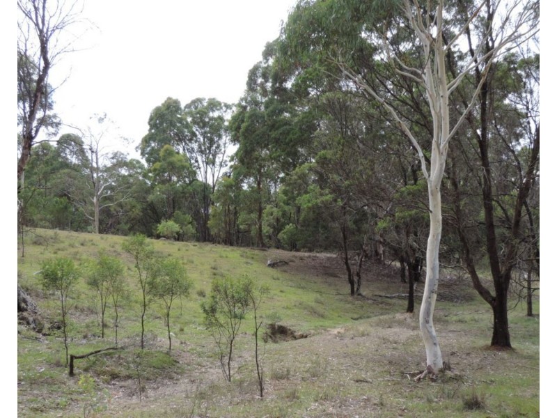 Lot 80 Off Muffets Road, Quialigo NSW 2580