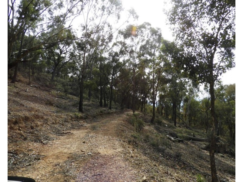 Lot 11 Junction Road, Tuena NSW 2583