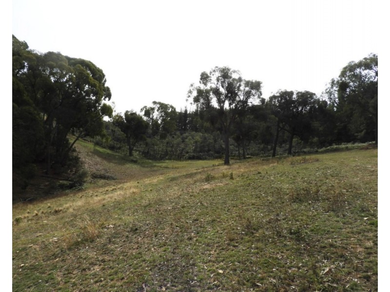 Lot 11 Junction Road, Tuena NSW 2583