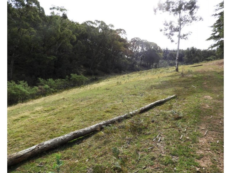 Lot 11 Junction Road, Tuena NSW 2583