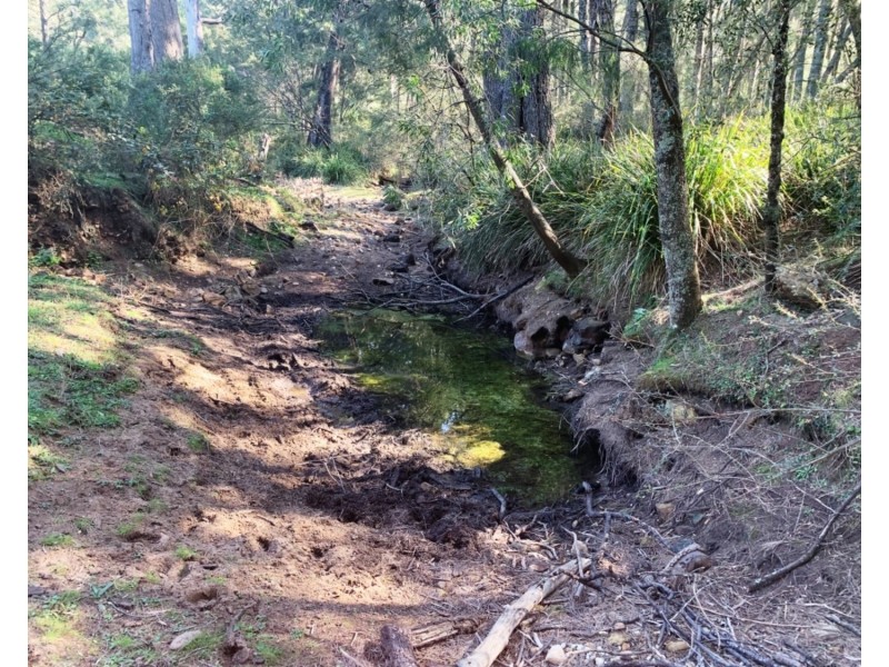 322 Wombeyan Caves Road, Wombeyan Caves NSW 2580