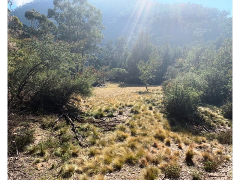 322 Wombeyan Caves Road, Wombeyan Caves NSW 2580