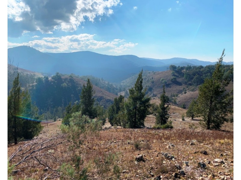 322 Wombeyan Caves Road, Wombeyan Caves NSW 2580