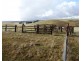 298 Iron Mine Road, Crookwell NSW 2583
