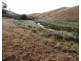 298 Iron Mine Road, Crookwell NSW 2583