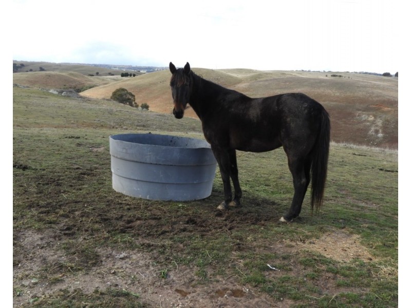 298 Iron Mine Road, Crookwell NSW 2583