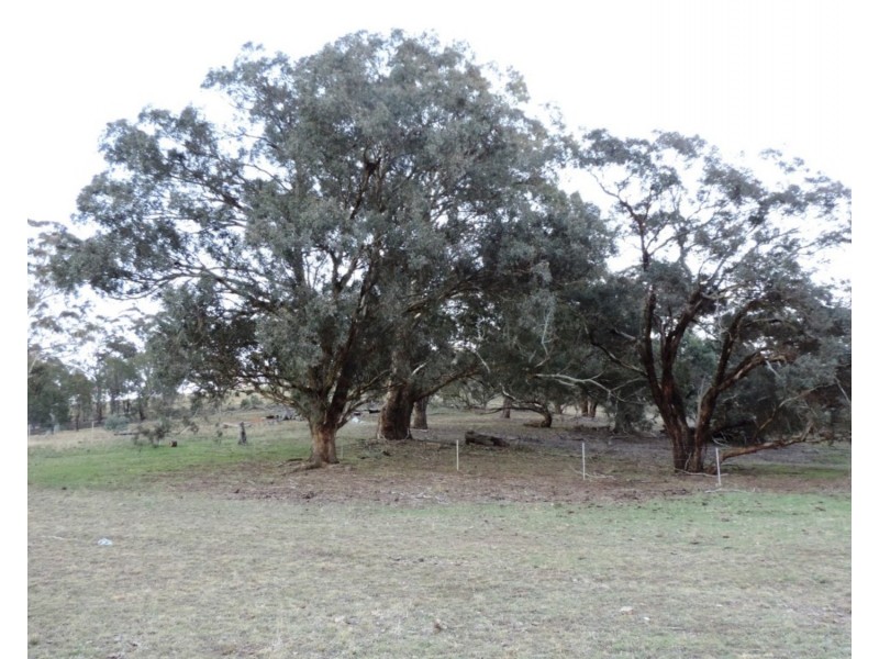 Lot 14 Off Middle Arm Road, Goulburn NSW 2580