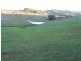 Ptn 121 Greenmantle Road, Bigga NSW 2583