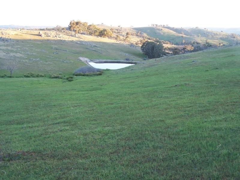 Ptn 121 Greenmantle Road, Bigga NSW 2583