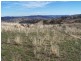 Ptn 121 Greenmantle Road, Bigga NSW 2583