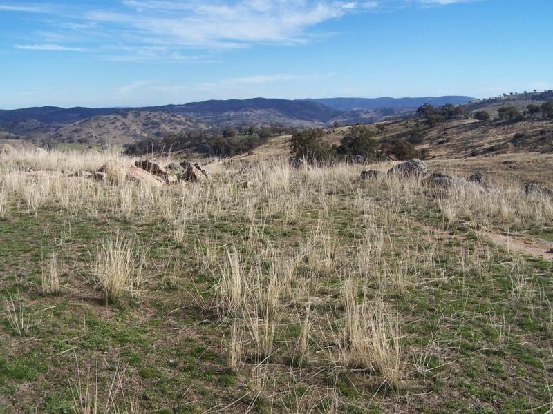 Ptn 121 Greenmantle Road, Bigga NSW 2583