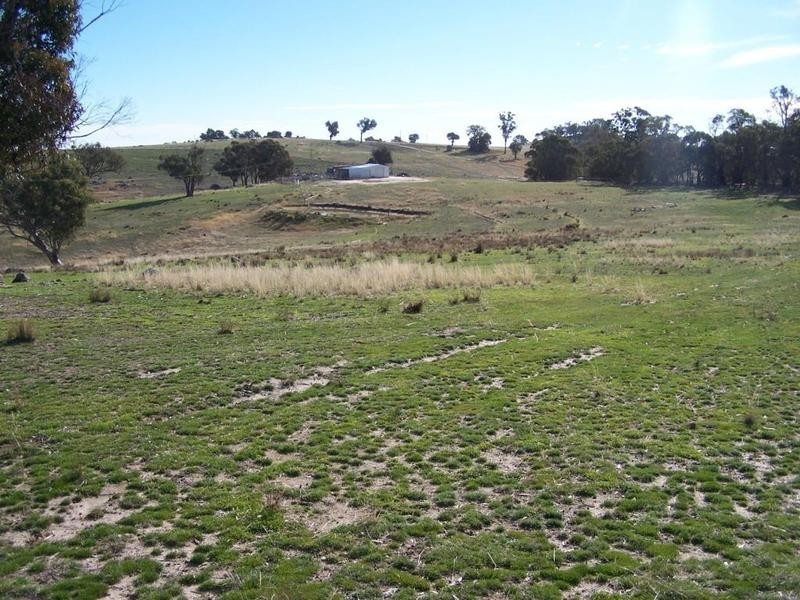 Ptn 121 Greenmantle Road, Bigga NSW 2583