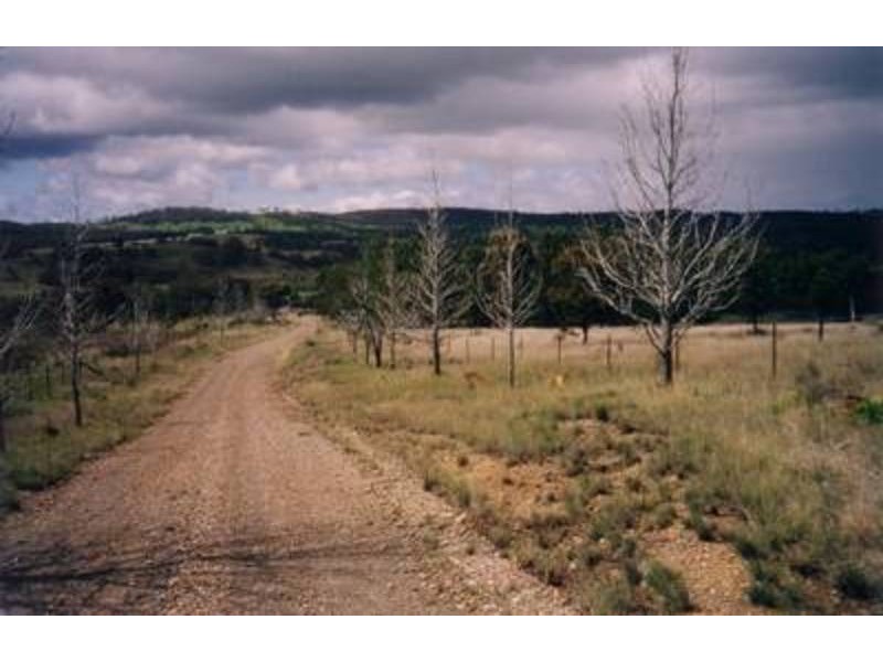 139 Towrang Road, Towrang NSW 2580
