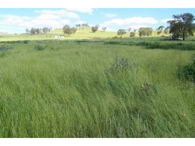 Lot 2 Streamville Road, Bigga NSW 2583
