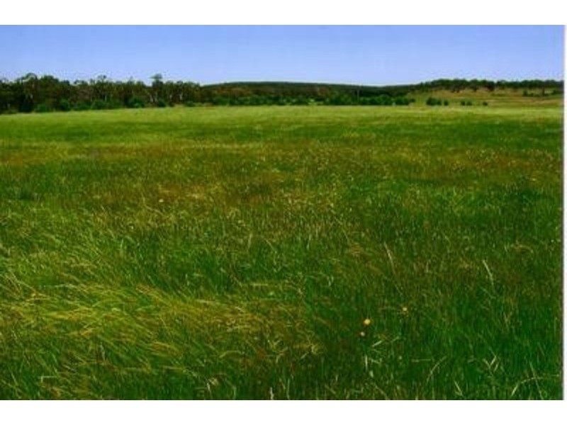 1372 Bullamalita Road, Goulburn NSW 2580