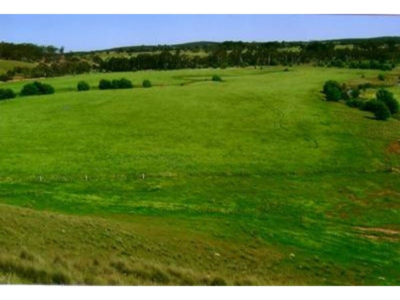 1372 Bullamalita Road, Goulburn NSW 2580