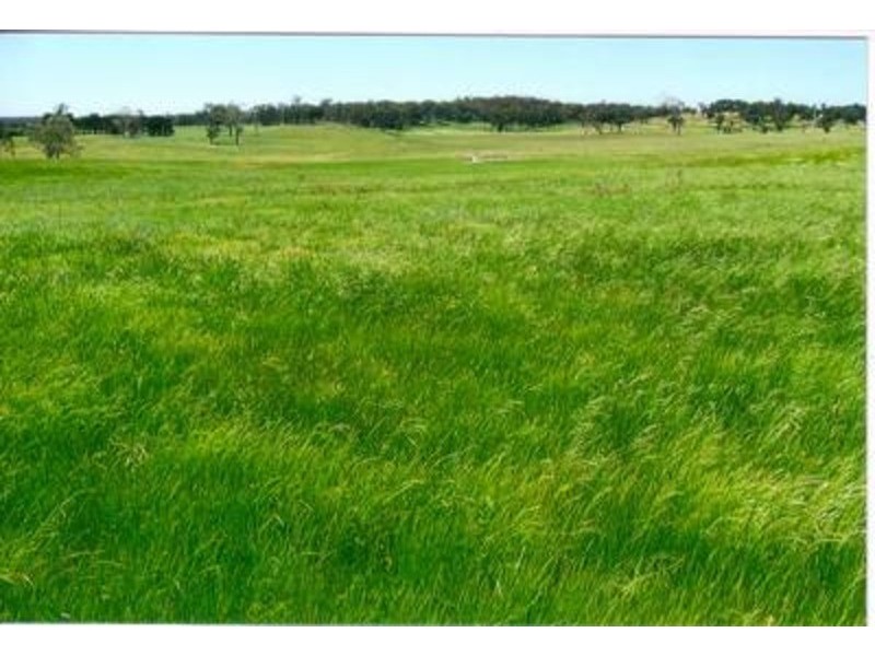 1372 Bullamalita Road, Goulburn NSW 2580