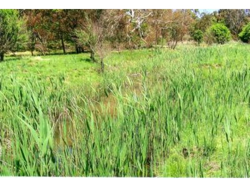 Lot 9 Lumley Road, Goulburn NSW 2580