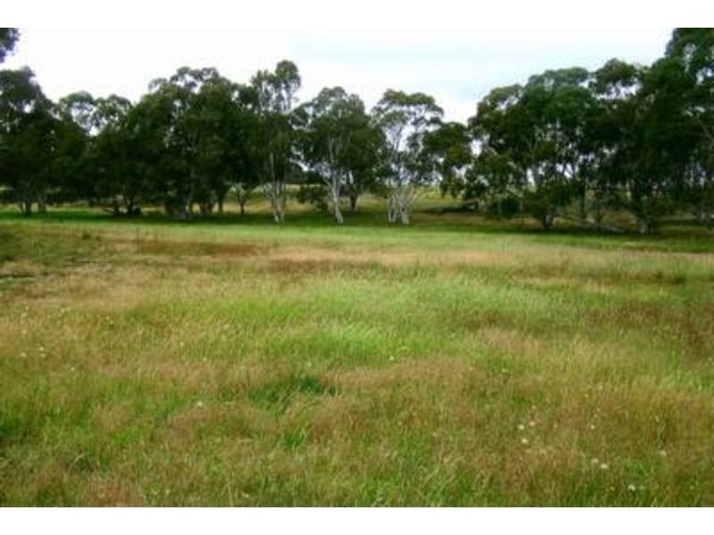 196 Mountain Trig Estate, Goulburn NSW 2580