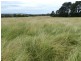 Lot 101 Grabben Gullen Road, Crookwell NSW 2583