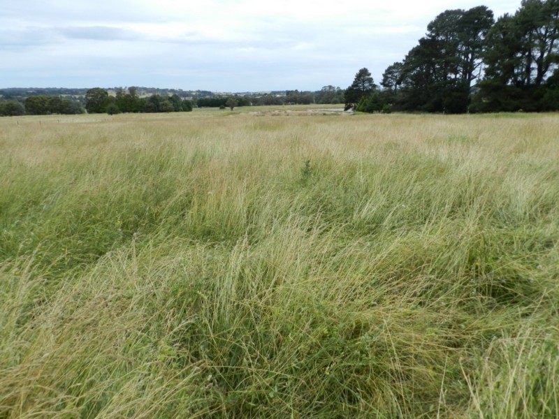 Lot 101 Grabben Gullen Road, Crookwell NSW 2583