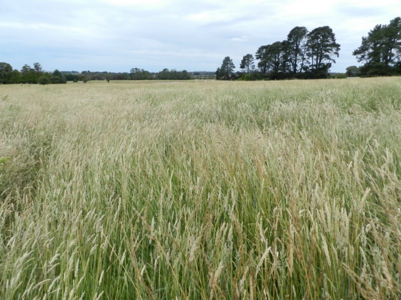 Lot 102 Grabben Gullen Road, Crookwell NSW 2583