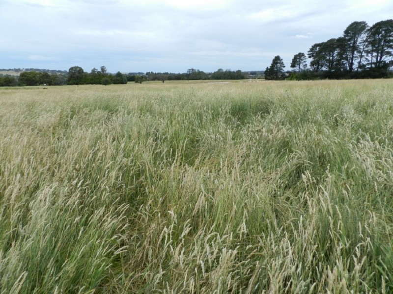 Lot 102 Grabben Gullen Road, Crookwell NSW 2583