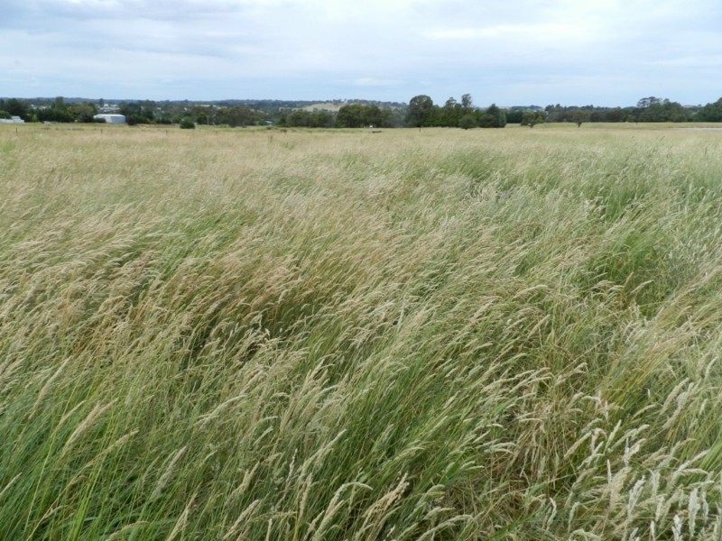 Lot 102 Grabben Gullen Road, Crookwell NSW 2583