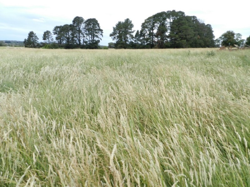 Lot 102 Grabben Gullen Road, Crookwell NSW 2583