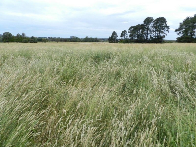 Lot 102 Grabben Gullen Road, Crookwell NSW 2583