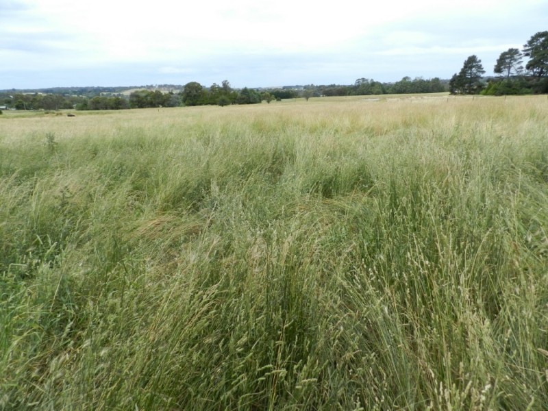 Lot 102 Grabben Gullen Road, Crookwell NSW 2583