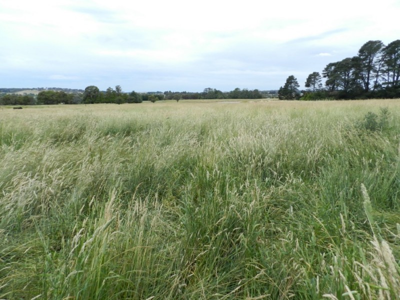 Lot 102 Grabben Gullen Road, Crookwell NSW 2583