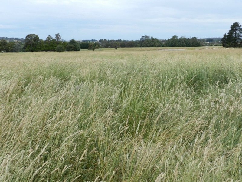 Lot 102 Grabben Gullen Road, Crookwell NSW 2583