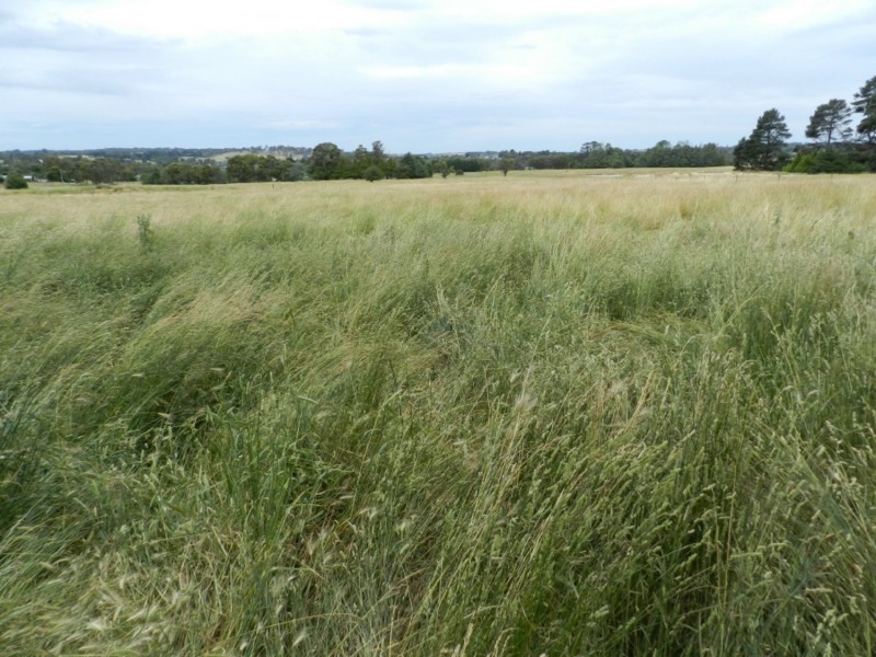 Lot 102 Grabben Gullen Road, Crookwell NSW 2583