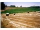 “Lucerne Park” Taylors Flat Road, Boorowa NSW 2586