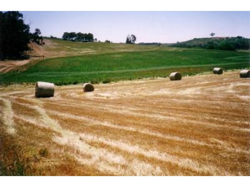“Lucerne Park” Taylors Flat Road, Boorowa NSW 2586