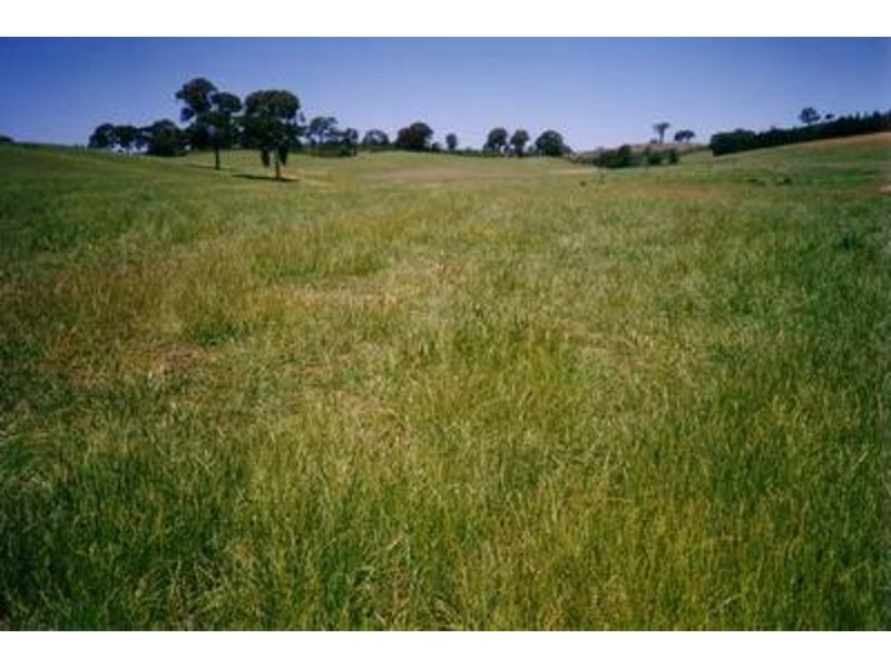 “Lucerne Park” Taylors Flat Road, Boorowa NSW 2586