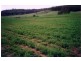 “Lucerne Park” Taylors Flat Road, Boorowa NSW 2586