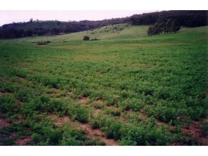 “Lucerne Park” Taylors Flat Road, Boorowa NSW 2586