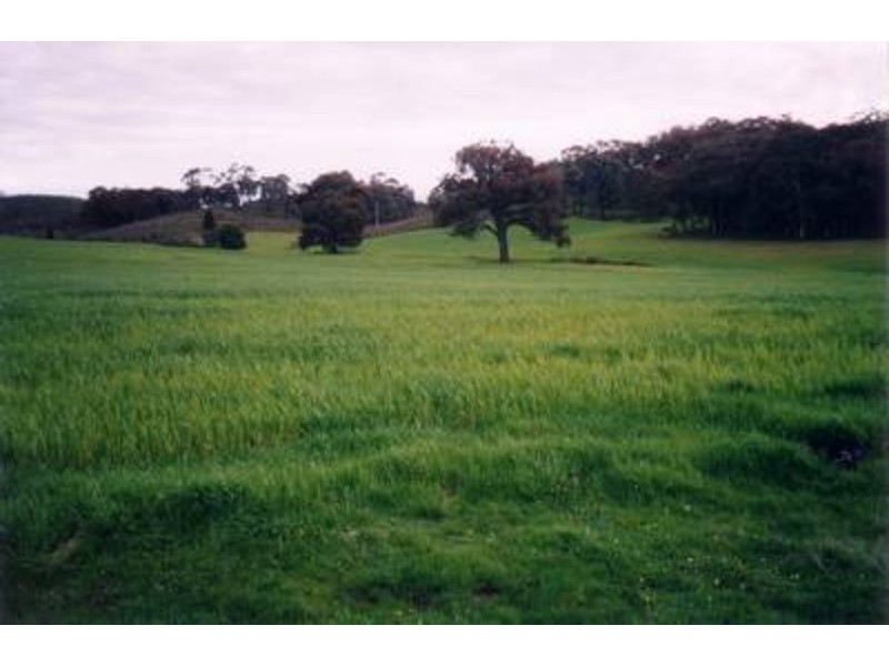 “Lucerne Park” Taylors Flat Road, Boorowa NSW 2586