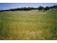 “Lucerne Park” Taylors Flat Road, Boorowa NSW 2586